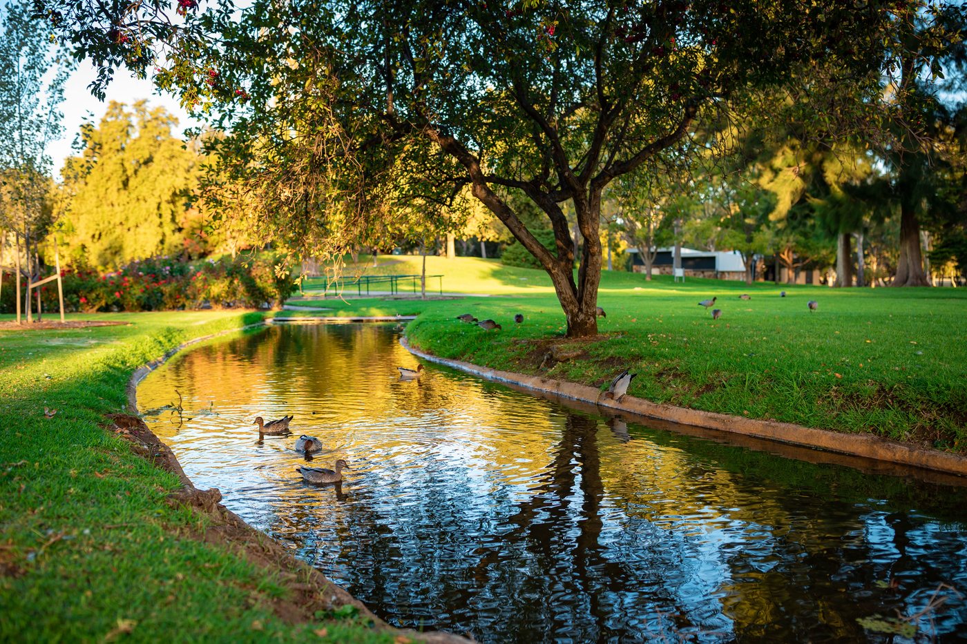 Walking trail and playground in a Monroe, Georgia park